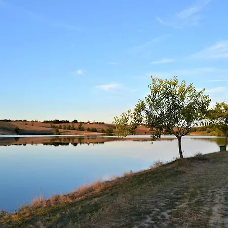 Dépendance De 30 Mètres Carrés Plafond Cathédrale *