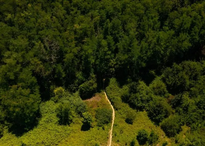 Dépendance De 30 Mètres Carrés Plafond Cathédrale Appartamento