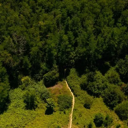 Dependance De 30 Metres Carres Plafond Cathedrale Apartment
