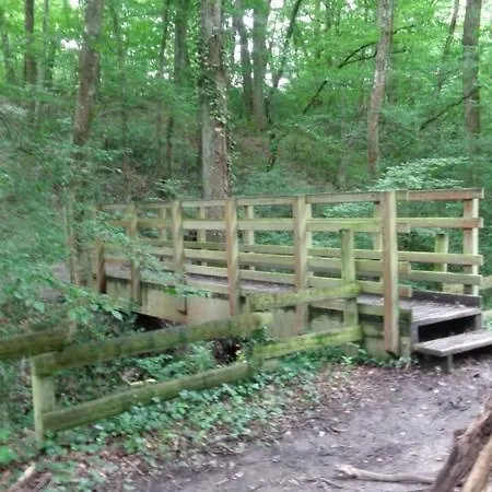 公寓 Dependance De 30 Metres Carres Plafond Cathedrale Labastide-Saint-Sernin