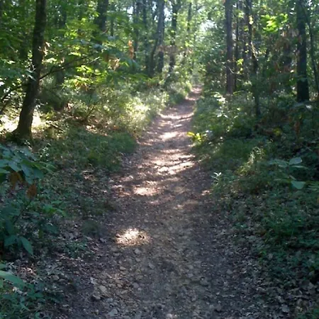 公寓 Dependance De 30 Metres Carres Plafond Cathedrale *