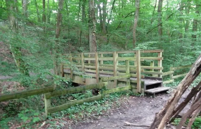 Apartment Dependance De 30 Metres Carres Plafond Cathedrale Labastide-Saint-Sernin