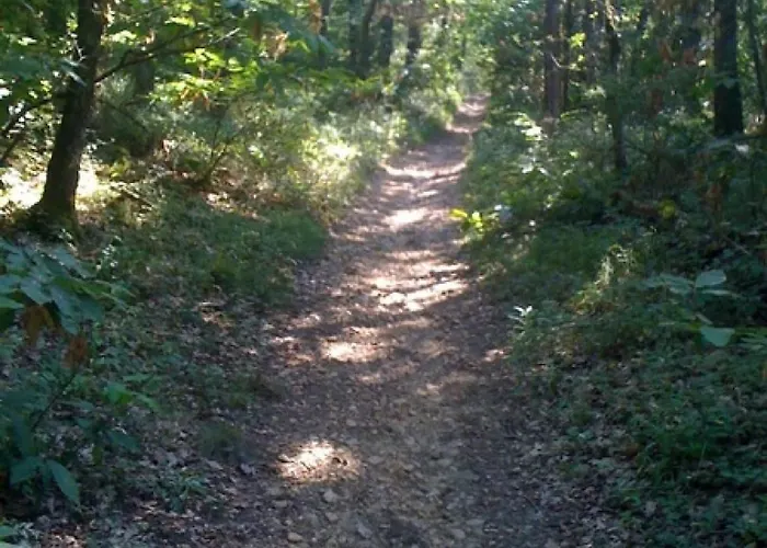 Apartment Dependance De 30 Metres Carres Plafond Cathedrale *