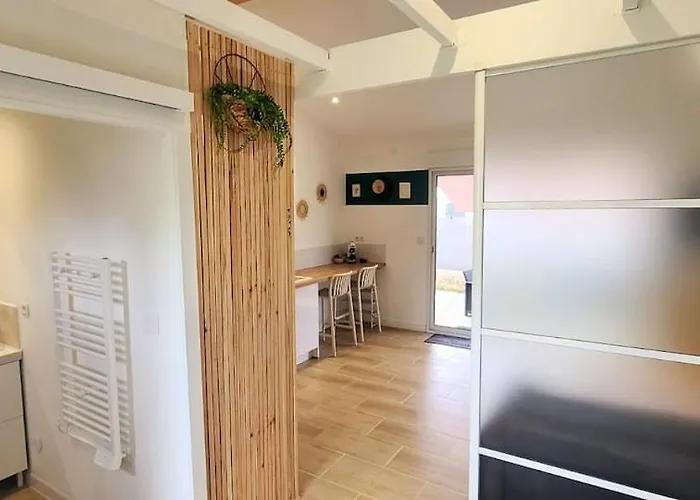 Apartment Dependance De 30 Metres Carres Plafond Cathedrale *